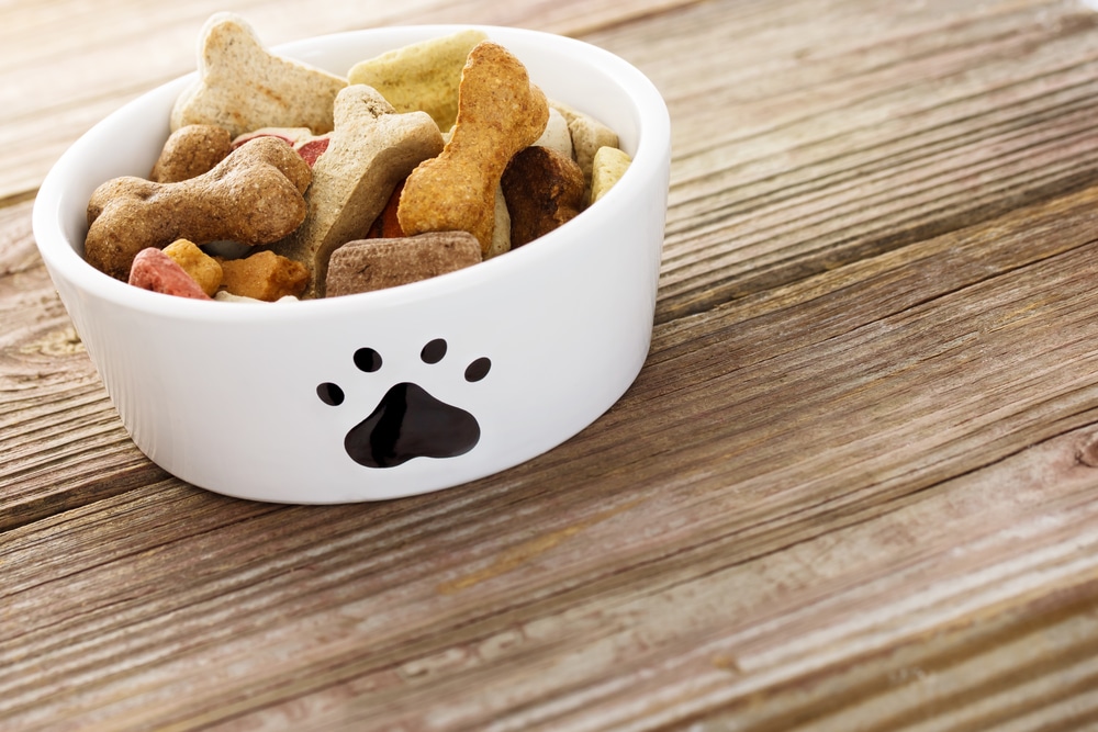 Bowl of dog biscuits