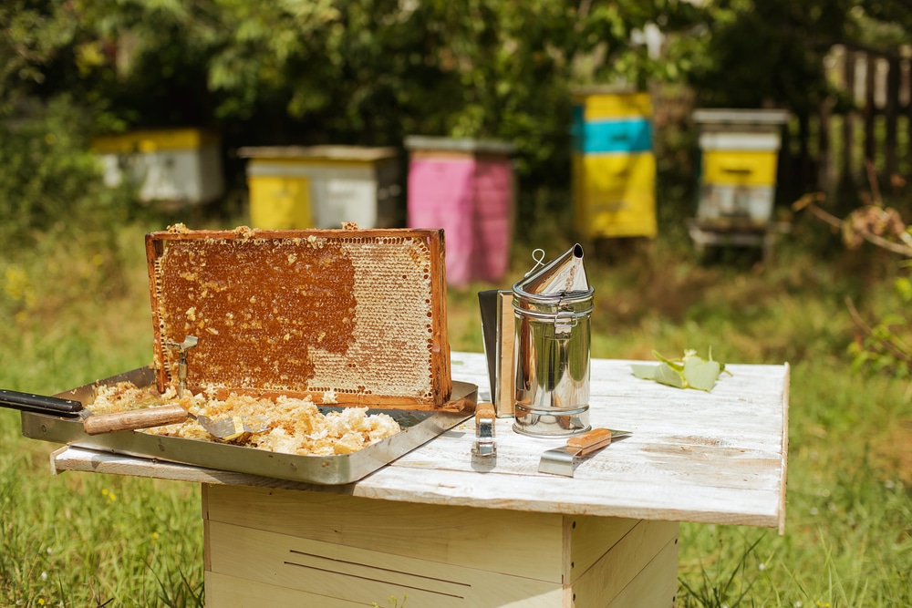 Bee Keeping Equipment