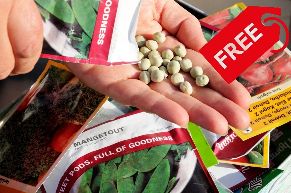 Free Garden Seeds