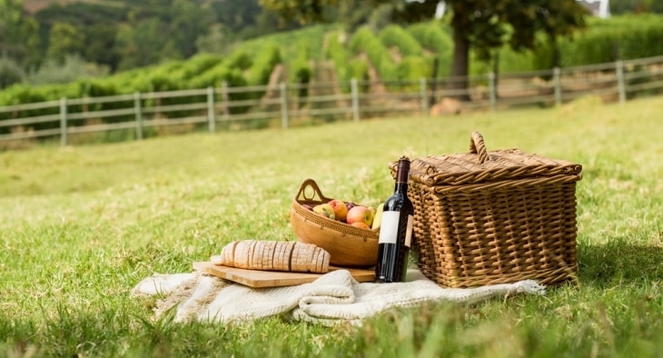 best cheap picnic ideas