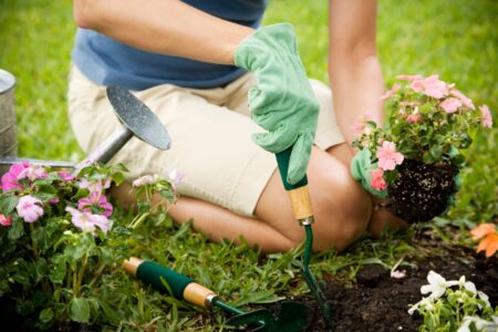 gardening